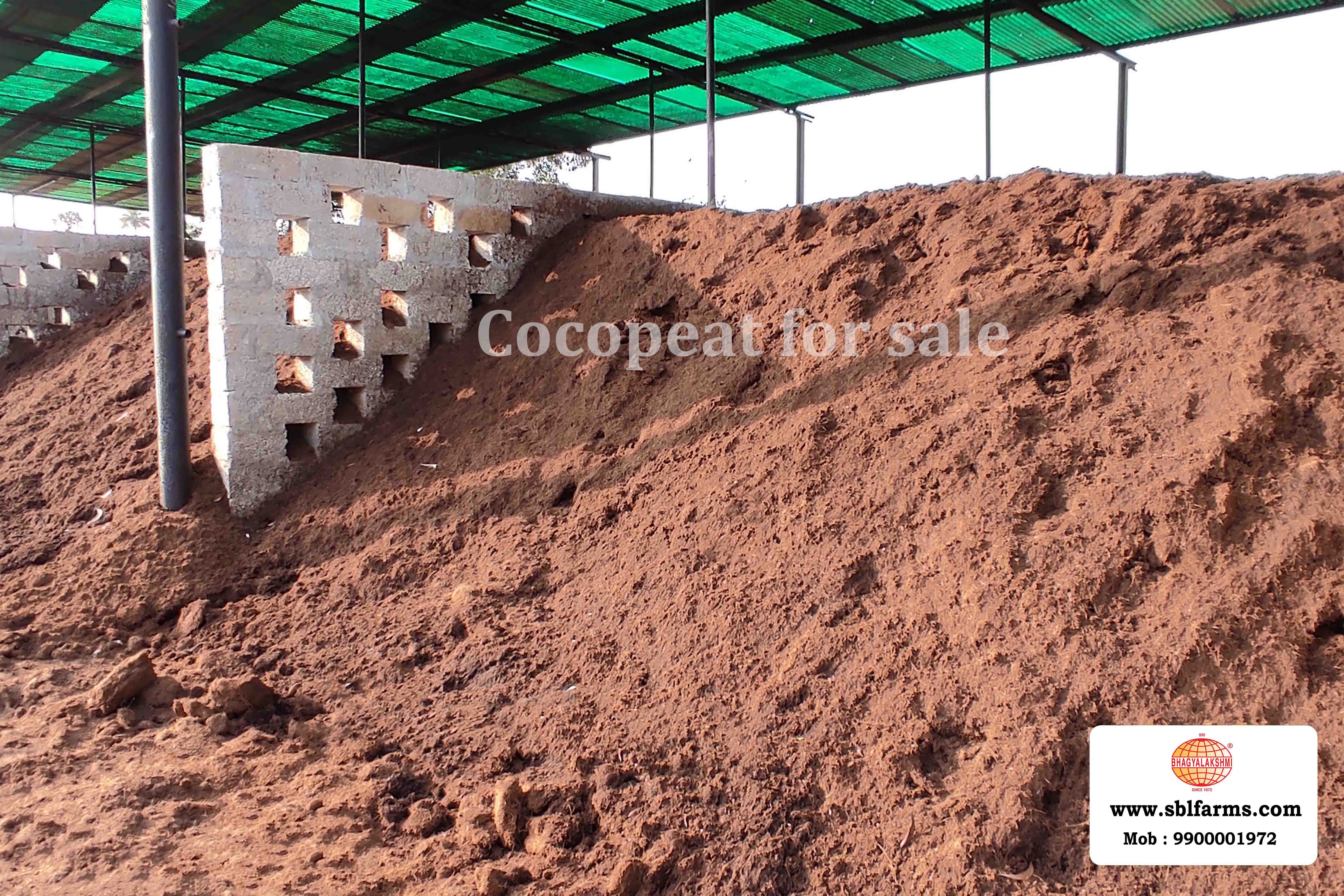 5KG Cocopeat Block
