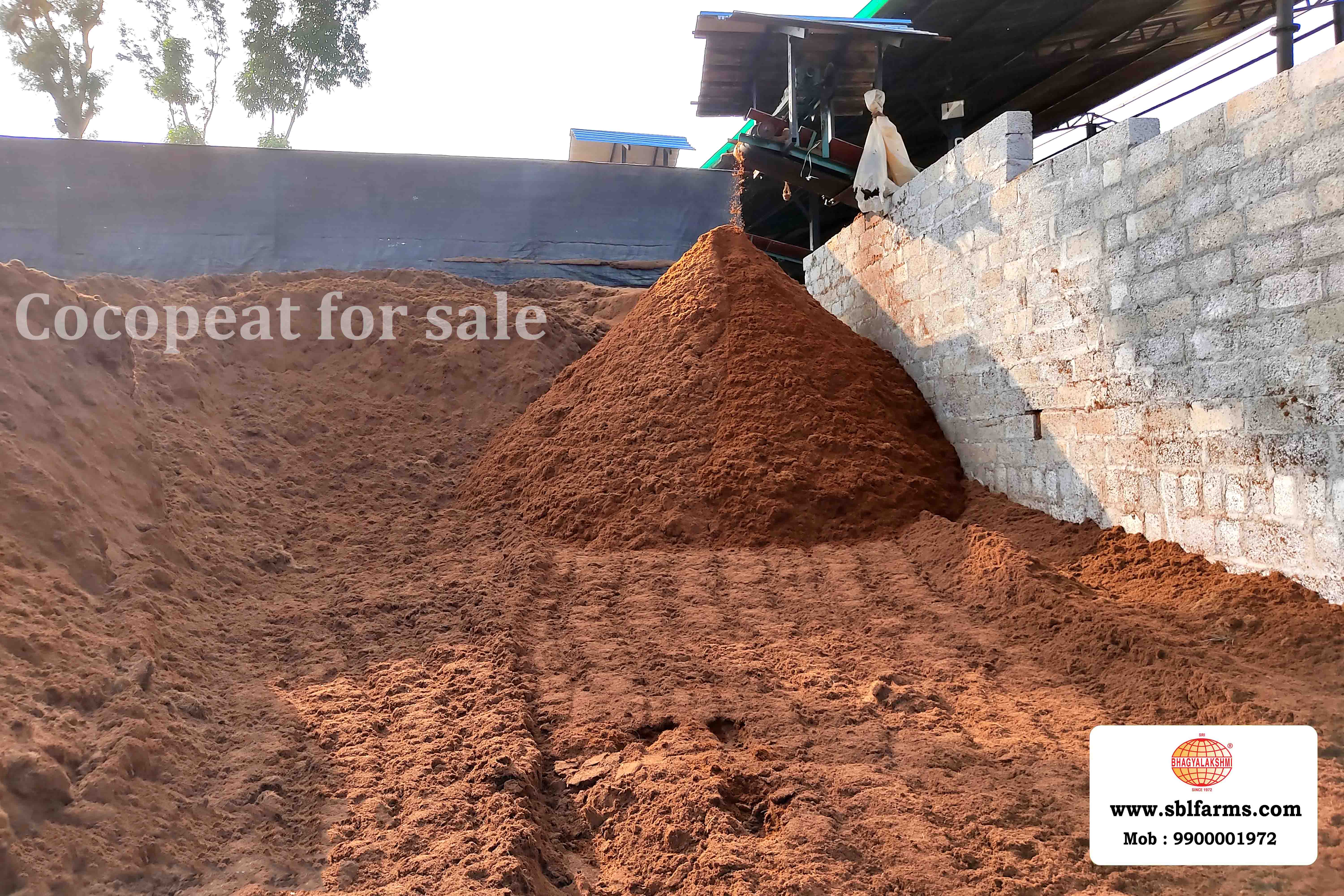 25KG Cocopeat Bag