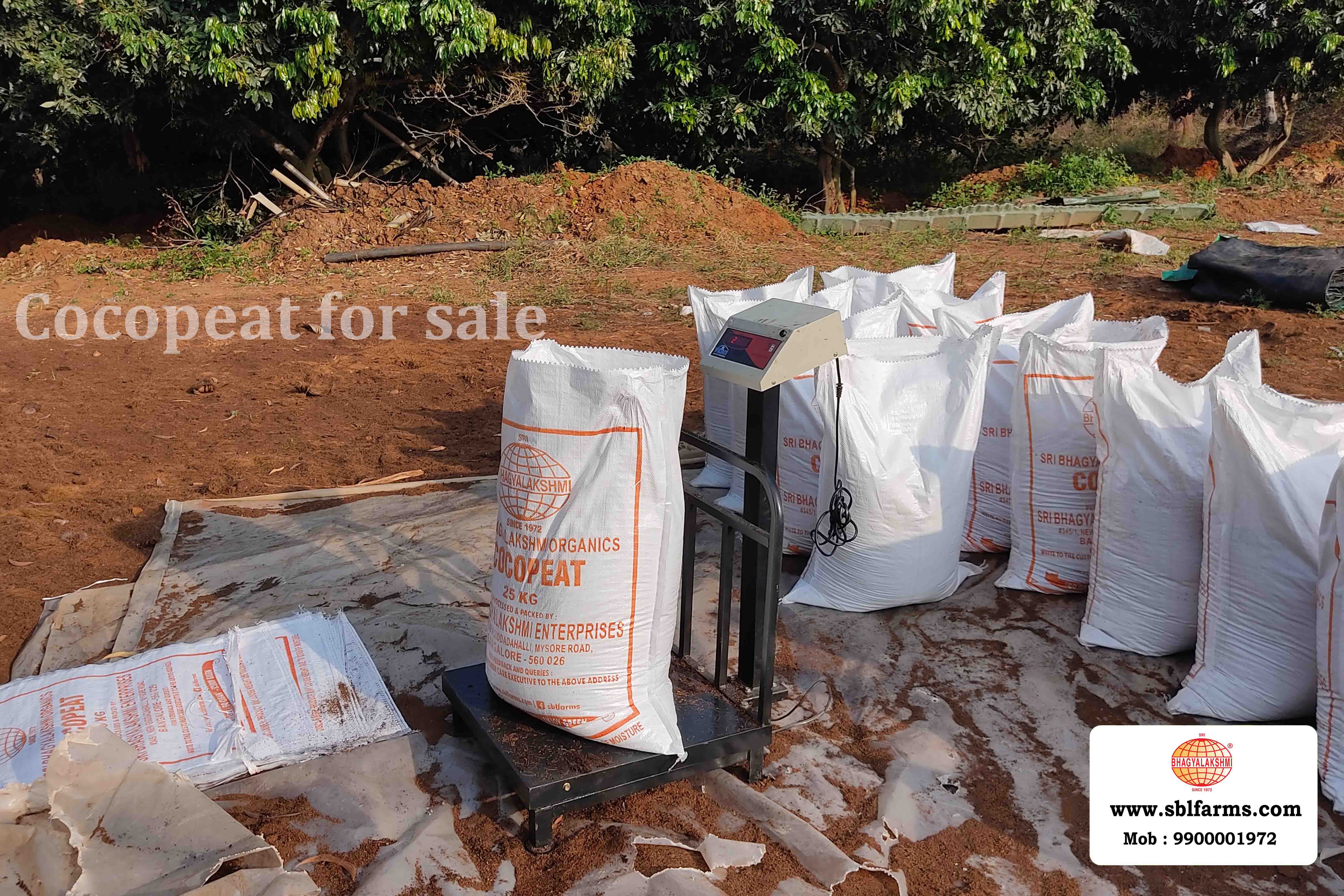 Cocopeat Suppliers in Bangalore | Cocopeat for Sale  |  Cocopeat, Cocopeat manufacturers, suppliers & exporters in Bangalore | Cocopeat for sale in bangalore |  Sri Bhagyalakshmi Farms cocopeat in Bangalore| Cocopeat for plants growth | Cocopeat fertlizer soil for plant | Production of cocopeat | Indias Best cocopeat Producers