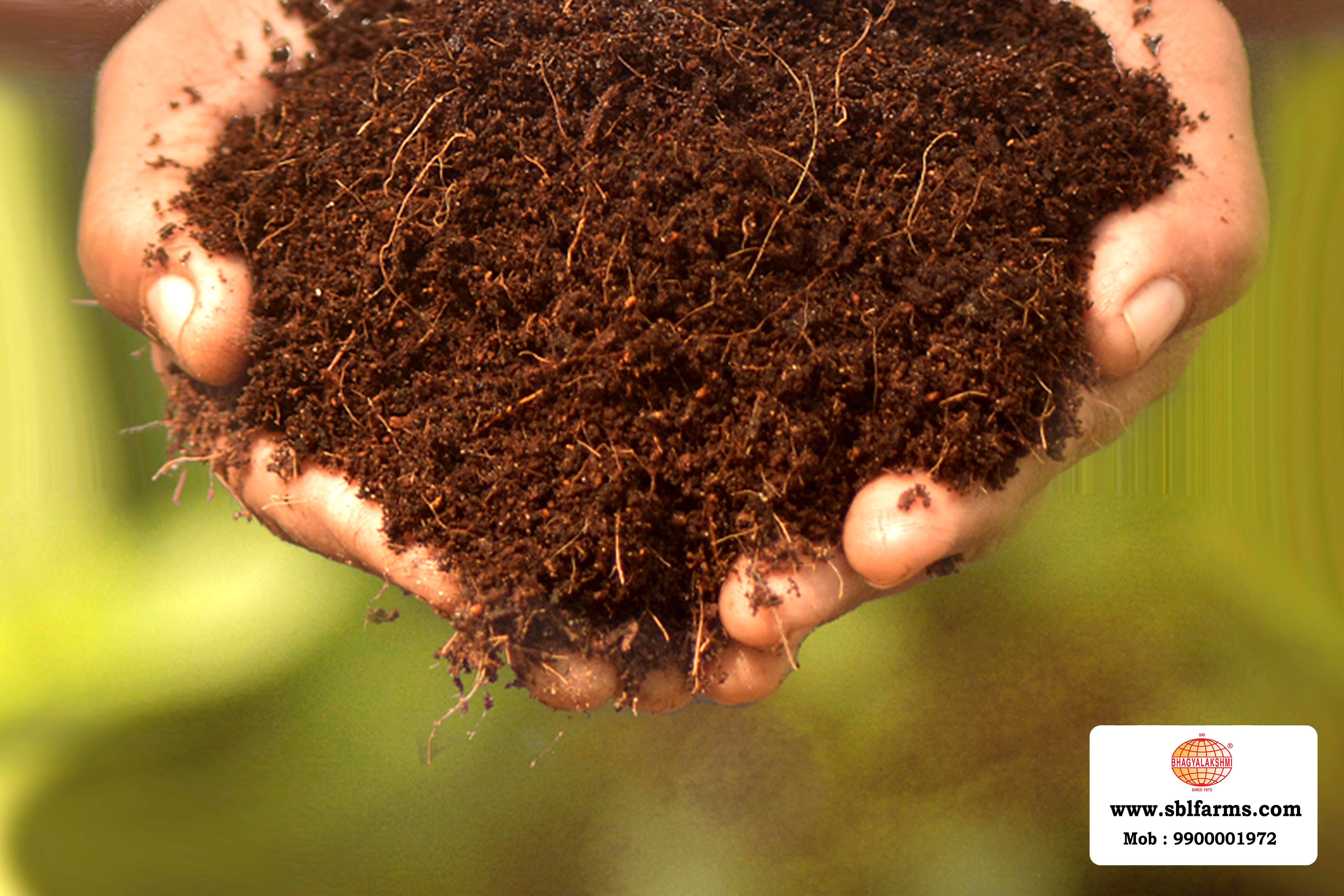 Cocopeat Suppliers in Bangalore | Cocopeat for Sale  |  Cocopeat, Cocopeat manufacturers, suppliers & exporters in Bangalore | Cocopeat for sale in bangalore |  Sri Bhagyalakshmi Farms cocopeat in Bangalore| Cocopeat for plants growth | Cocopeat fertlizer soil for plant | Production of cocopeat | Indias Best cocopeat Producers