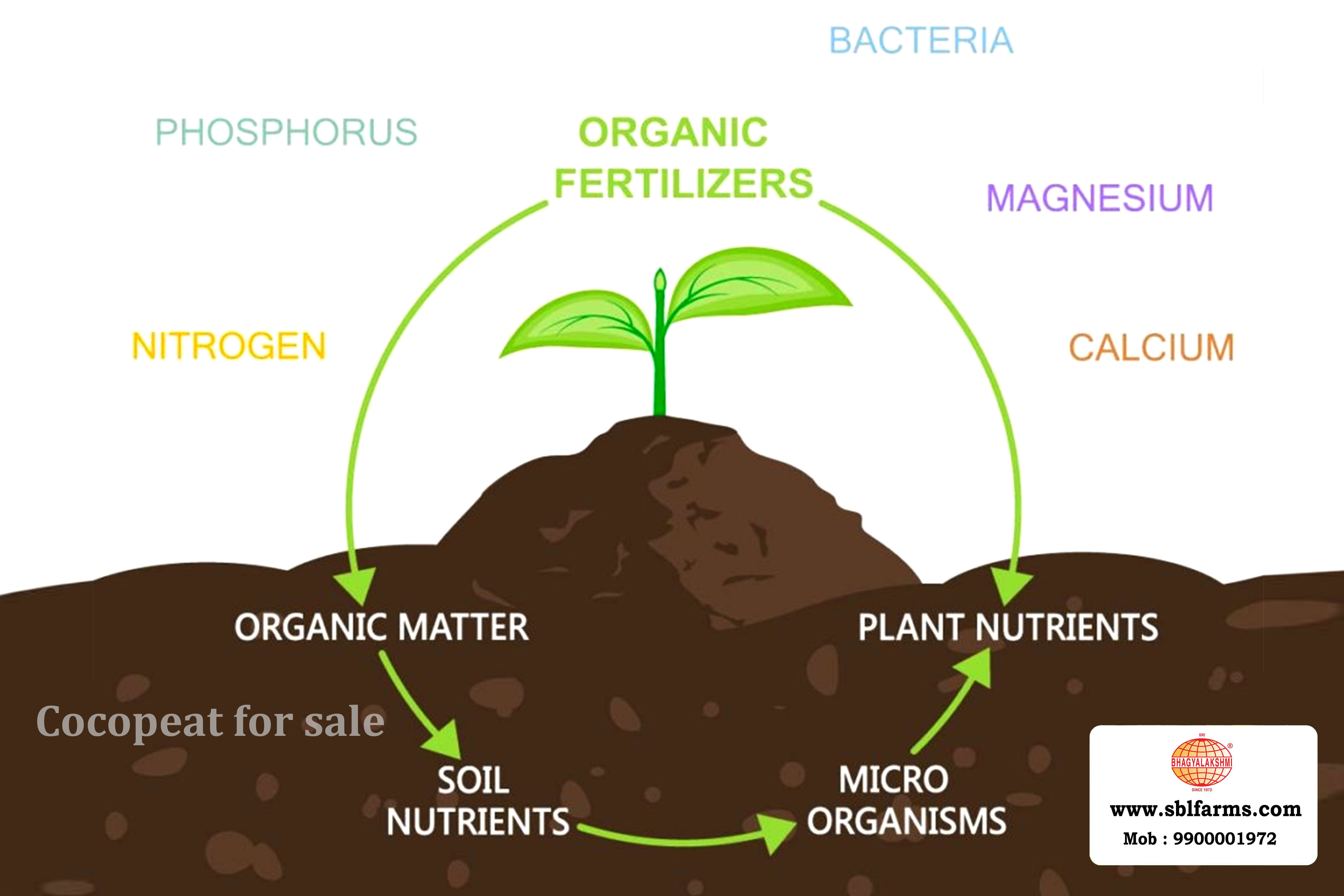 Cocopeat Suppliers in Bangalore | Cocopeat for Sale  |  Cocopeat, Cocopeat manufacturers, suppliers & exporters in Bangalore | Cocopeat for sale in bangalore |  Sri Bhagyalakshmi Farms cocopeat in Bangalore| Cocopeat for plants growth | Cocopeat fertlizer soil for plant | Production of cocopeat | Indias Best cocopeat Producers