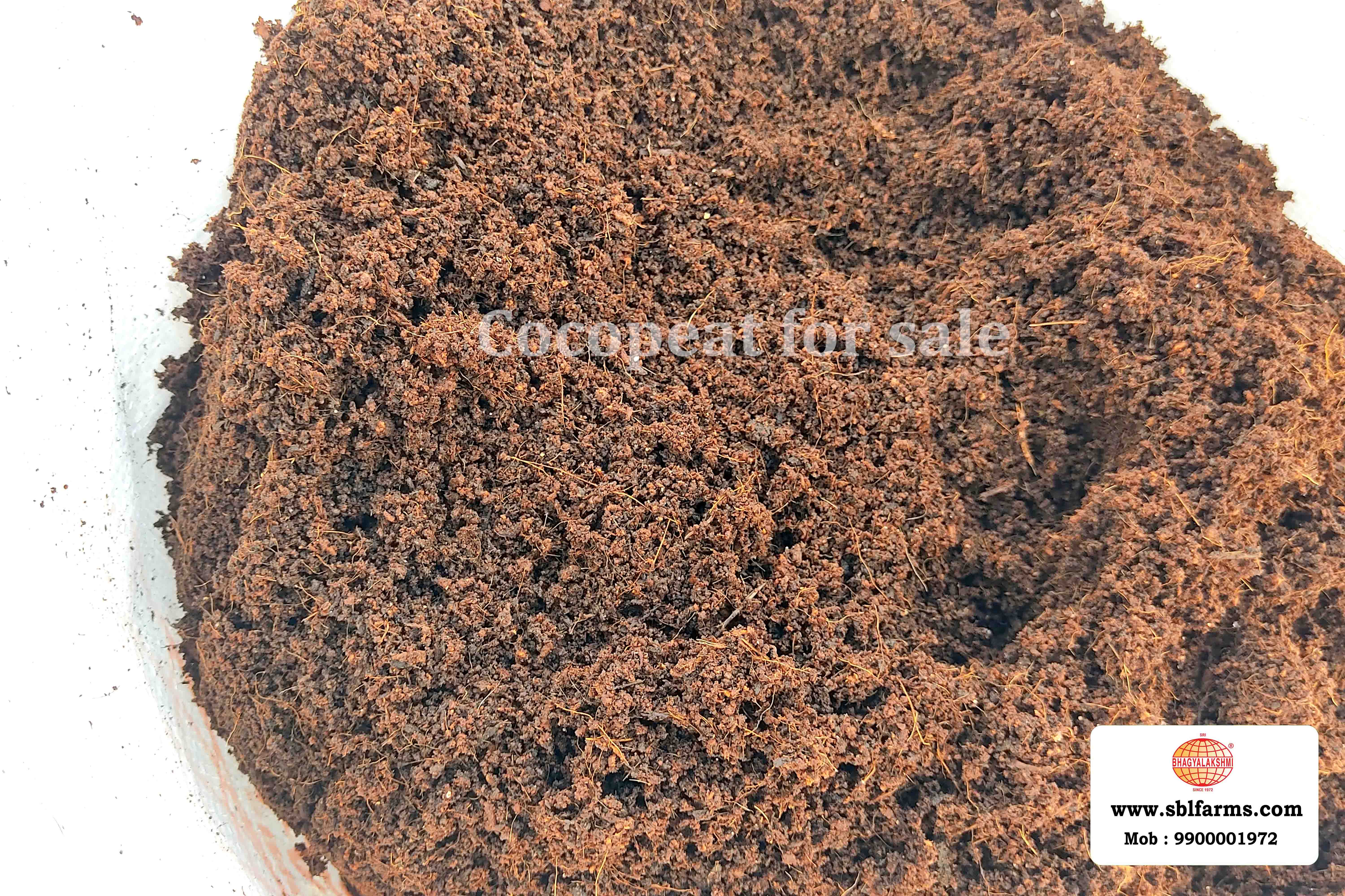 Cocopeat Suppliers in Bangalore | Cocopeat for Sale  |  Cocopeat, Cocopeat manufacturers, suppliers & exporters in Bangalore | Cocopeat for sale in bangalore |  Sri Bhagyalakshmi Farms cocopeat in Bangalore| Cocopeat for plants growth | Cocopeat fertlizer soil for plant | Production of cocopeat | Indias Best cocopeat Producers