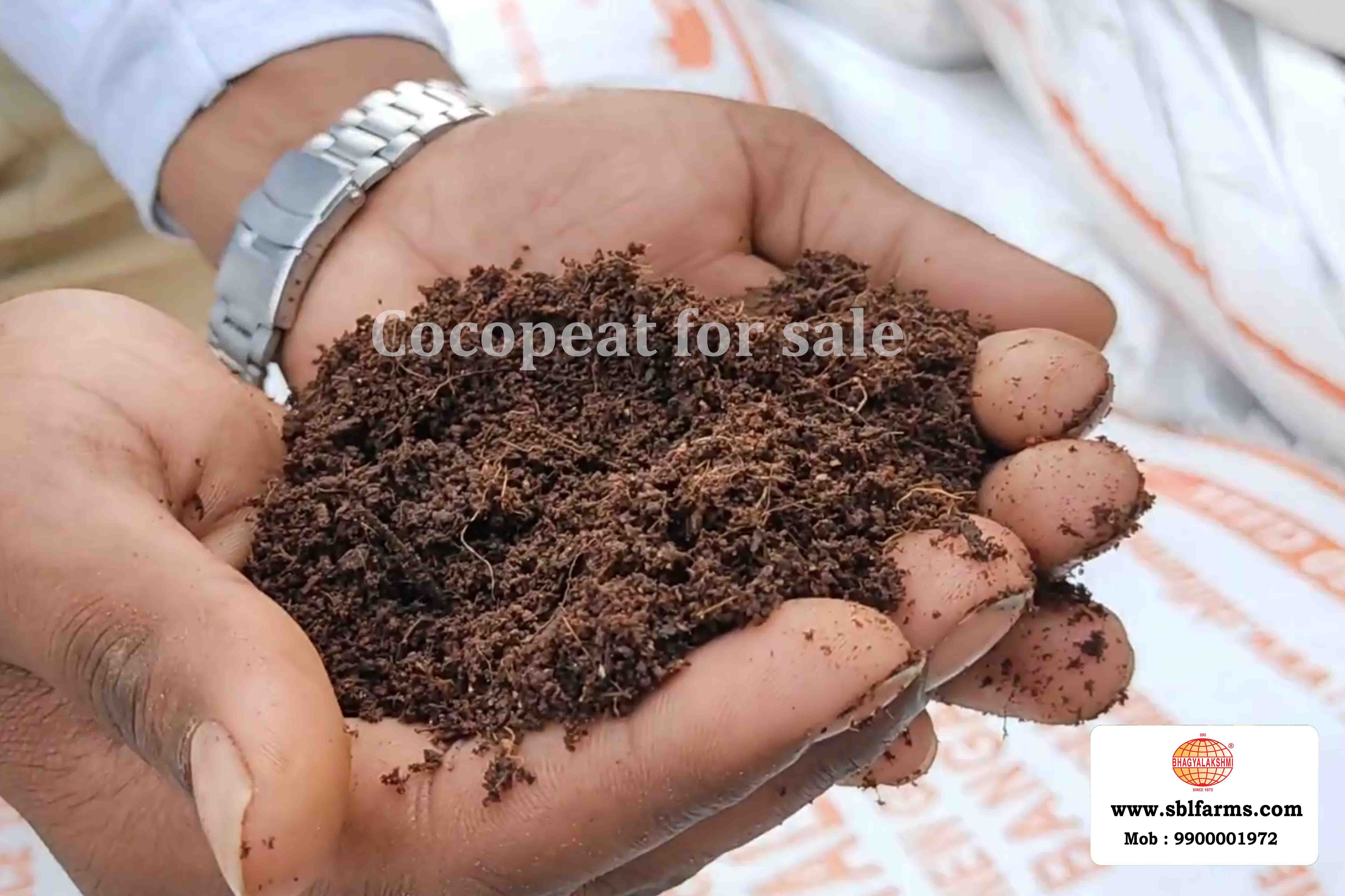 Cocopeat Suppliers in Bangalore | Cocopeat for Sale  |  Cocopeat, Cocopeat manufacturers, suppliers & exporters in Bangalore | Cocopeat for sale in bangalore |  Sri Bhagyalakshmi Farms cocopeat in Bangalore| Cocopeat for plants growth | Cocopeat fertlizer soil for plant | Production of cocopeat | Indias Best cocopeat Producers