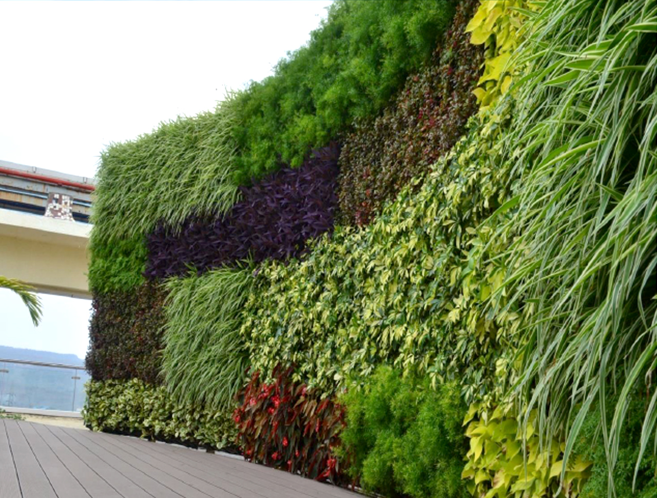 Sbl Farms Green walls and Living walls, Vertical Garden, Bio Curtains