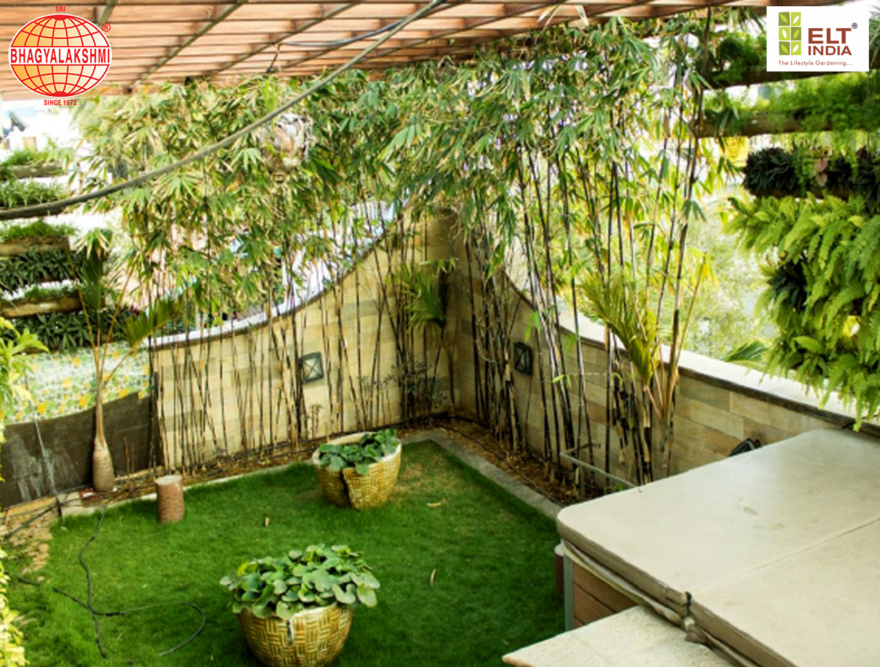 Sbl Farms Green walls and Living walls, Vertical Garden, Bio Curtains