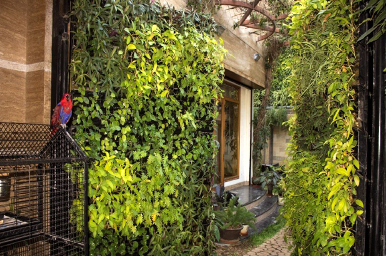 Sbl Farms Green walls and Living walls, Vertical Garden, Bio Curtains