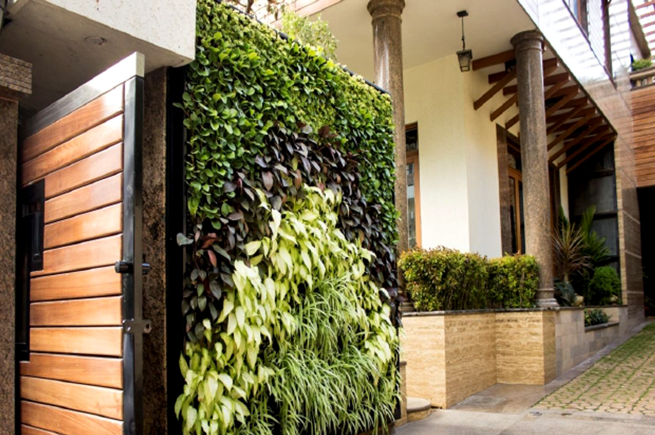 Sbl Farms Green walls and Living walls, Vertical Garden, Bio Curtains