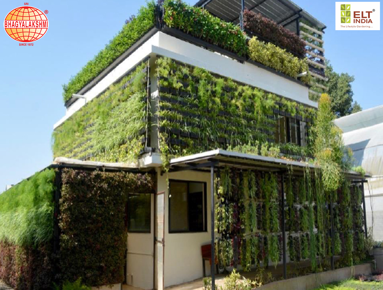 Sbl Farms Green walls and Living walls, Vertical Garden, Bio Curtains