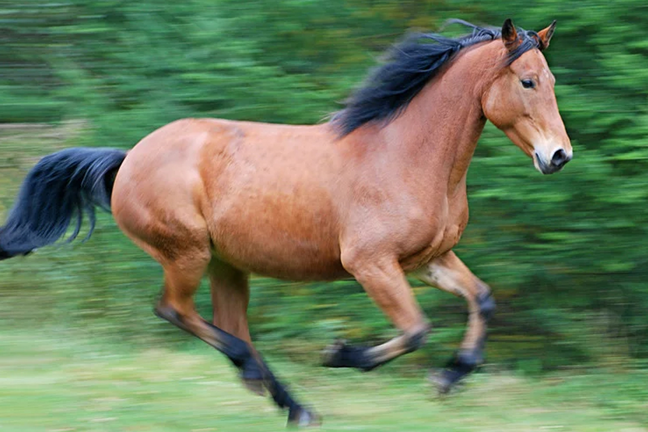 AgriTour, Agritourism, farms to visit in bangalore, farms for kids, farm holidays near bangalore, weekend farming, Big Banayan Tree Farm, Farms in Bangalore, Weekend Farm visit in Bangalore, school field trip