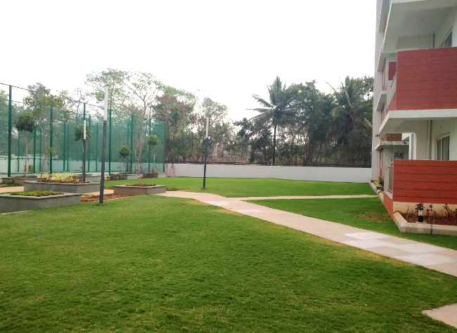 Landscaping, green mat, garden bed, AgriTour, Agritourism, farms to visit in bangalore, farms for kids, farm holidays near bangalore, weekend farming, Big Banayan Tree Farm, Farms in Bangalore, Weekend Farm visit in Bangalore, school field trip