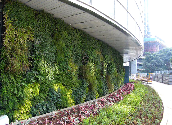 gardening design, apartment garden design, AgriTour, Agritourism, farms to visit in bangalore, farms for kids, farm holidays near bangalore, weekend farming, Big Banayan Tree Farm, Farms in Bangalore, Weekend Farm visit in Bangalore, school field trip