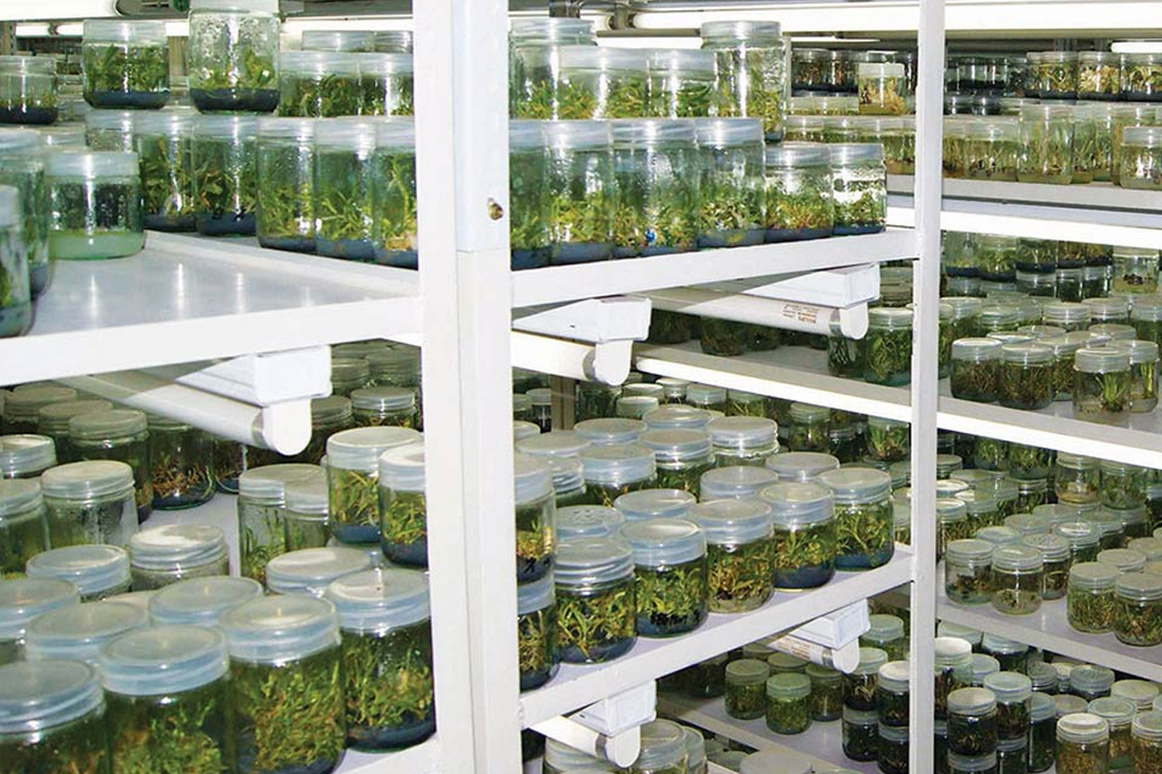 AgriTour, Agritourism, farms to visit in bangalore, farms for kids, farm holidays near bangalore, weekend farming, Big Banayan Tree Farm, Farms in Bangalore, Weekend Farm visit in Bangalore, school field trip